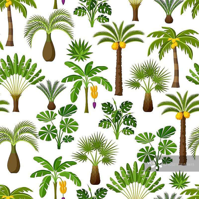 无缝模式与热带棕榈树。奇异的热带植物，丛林自然的插图。无缝模式与热带棕榈树。奇异的热带植物，丛林自然的插图。图片素材