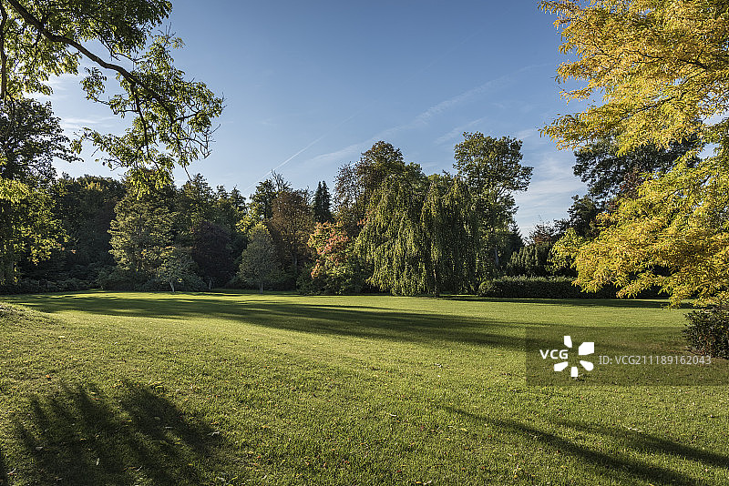 背板显示一个大花园整洁的草地和树木在德国图片素材