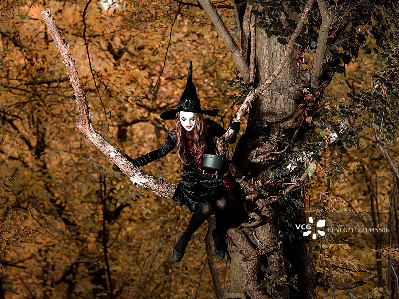 一个穿着女巫服装的少女坐在树上图片素材