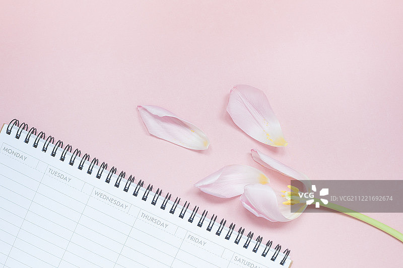 粉红色郁金香和开放的空办公桌规划器平躺着图片素材