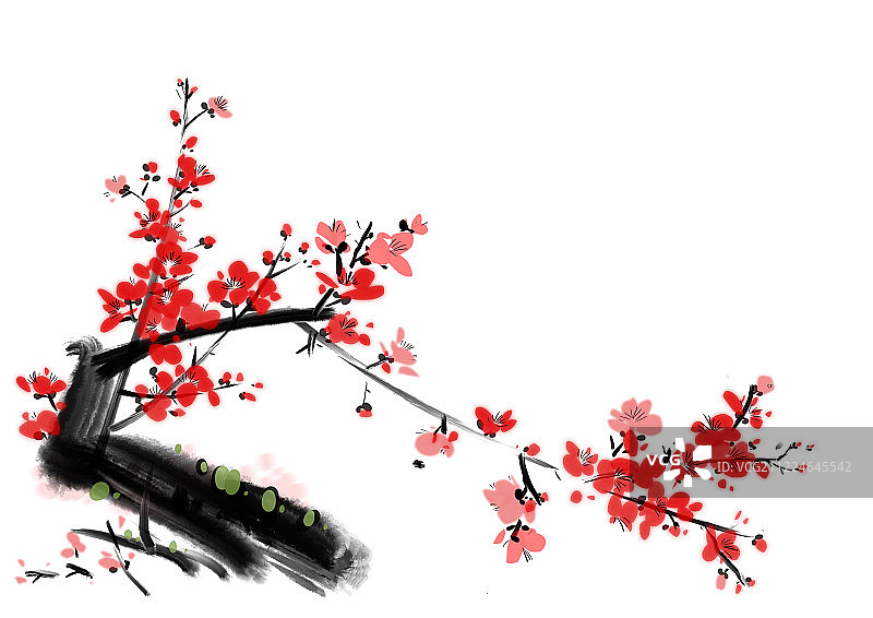 中国传统水墨花卉插画梅花图片素材