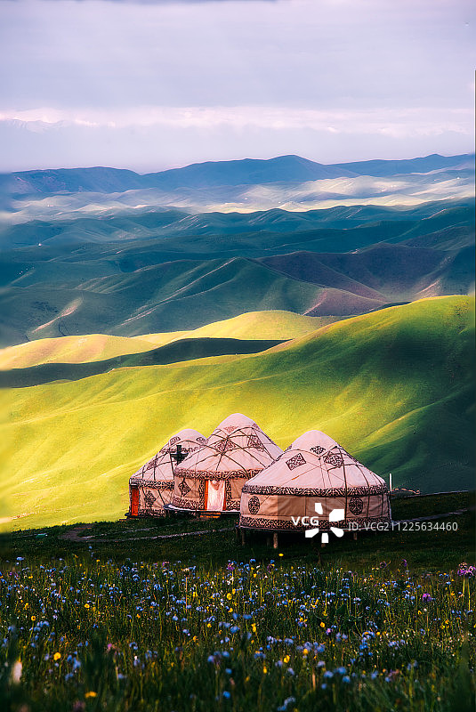 新疆草原鲜花毡房图片素材