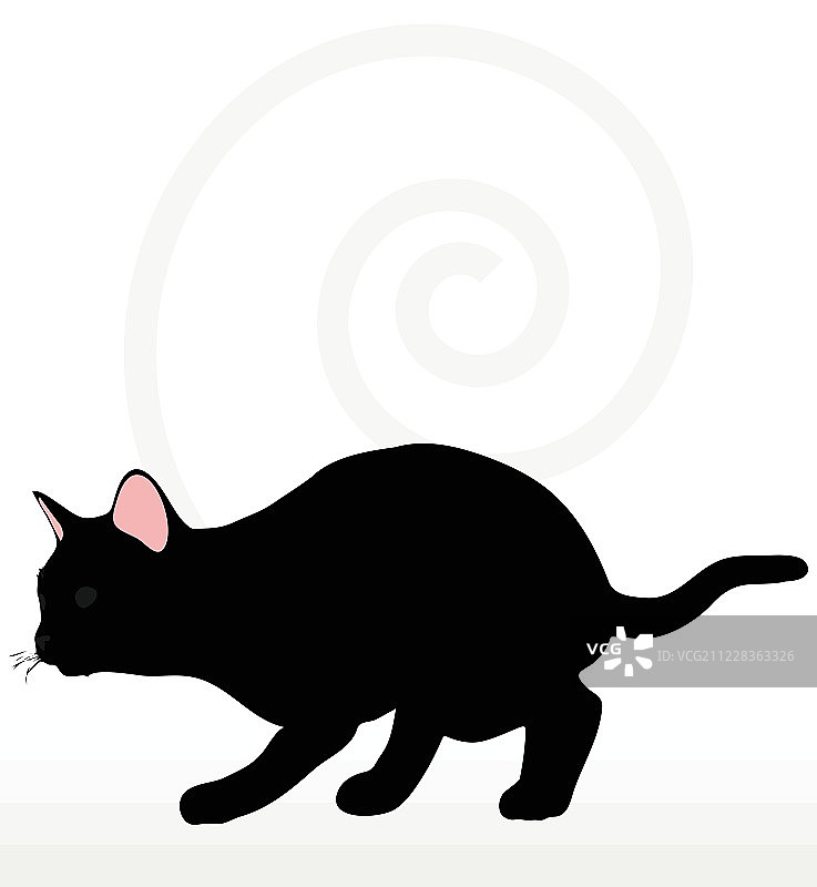 猫的侧影在跟踪姿势图片素材