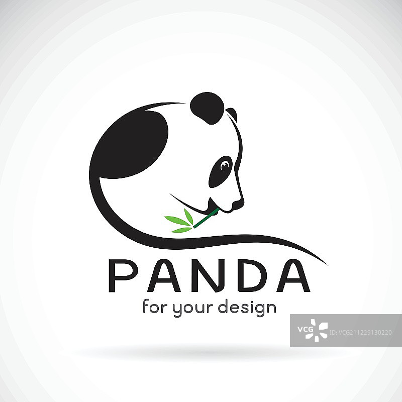 白色背景上的熊猫设计矢量。野生动物。图片素材