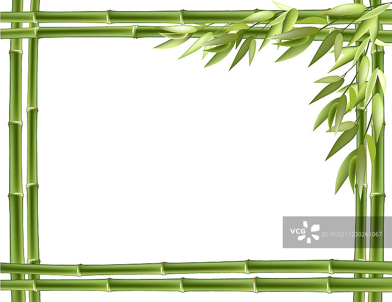 竹框架。向量的背景图片素材