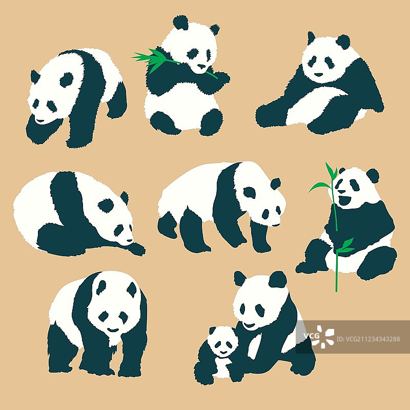 一组可爱的熊猫与不同的行动Vec图片素材