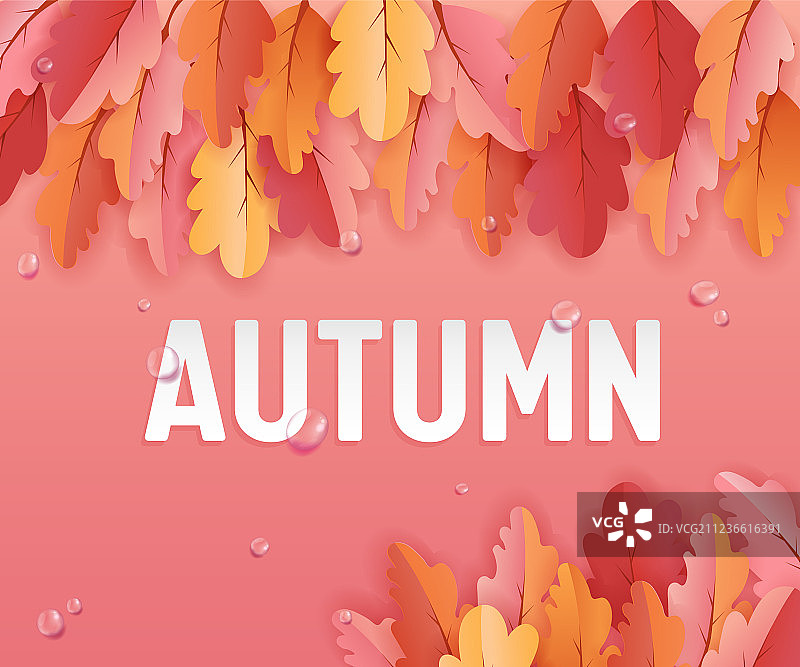 秋天的贺卡与美丽的树叶图片素材