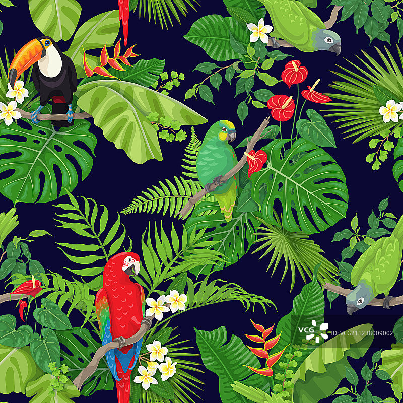 热带鸟类和植物图案图片素材