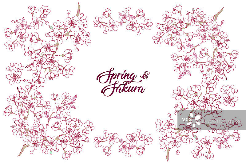 春天的樱花和木兰背景图片素材