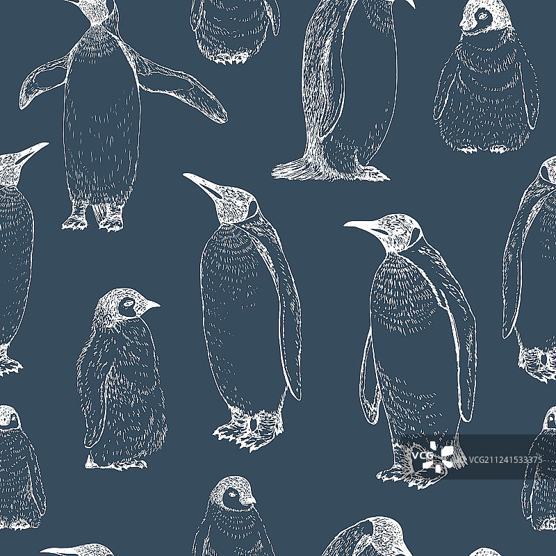 企鹅手绘素描图片素材