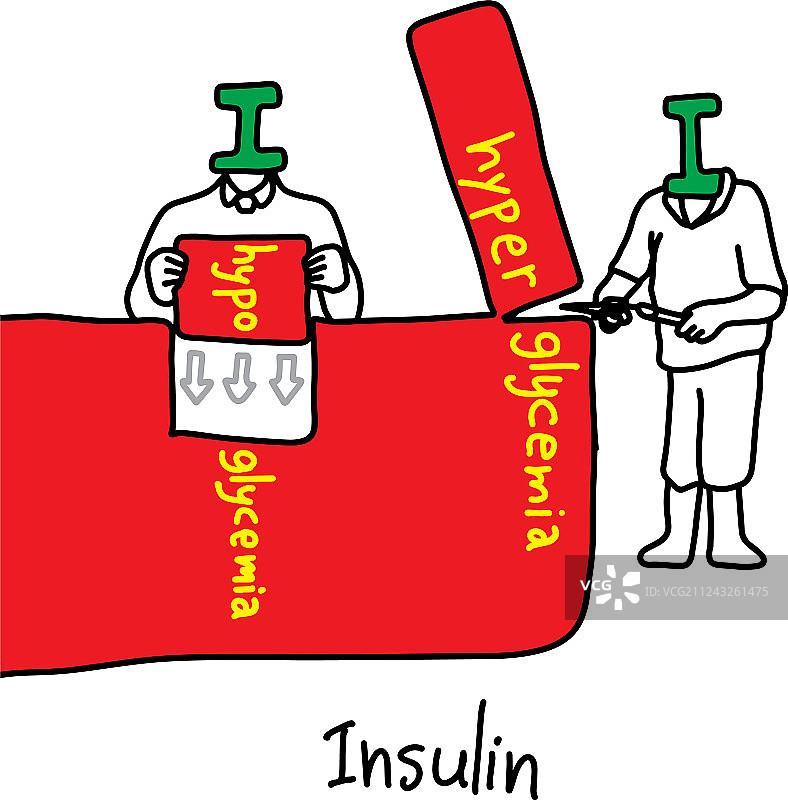 隐喻胰岛素的主要功能图片素材