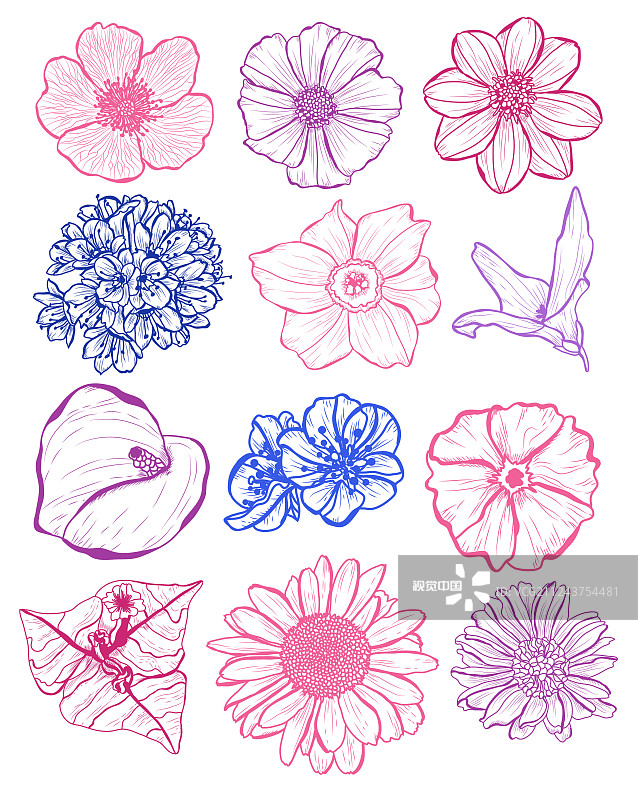手绘花卉装饰图片素材