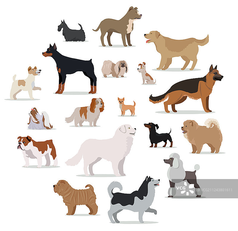 狗品种设置在卡通风格孤立的白色图片素材
