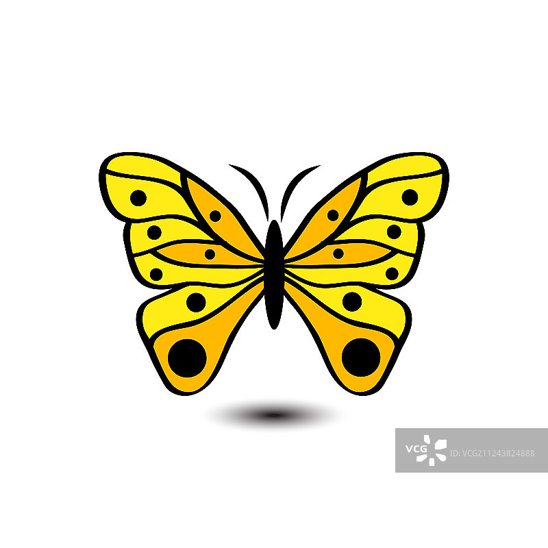 蝴蝶图像白色背景图片素材