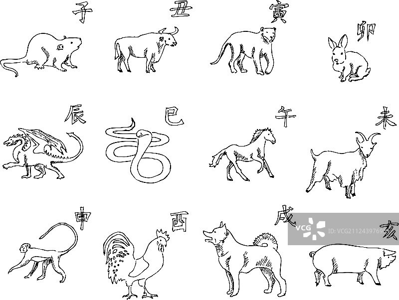 中国十二生肖的十二种动物图片素材