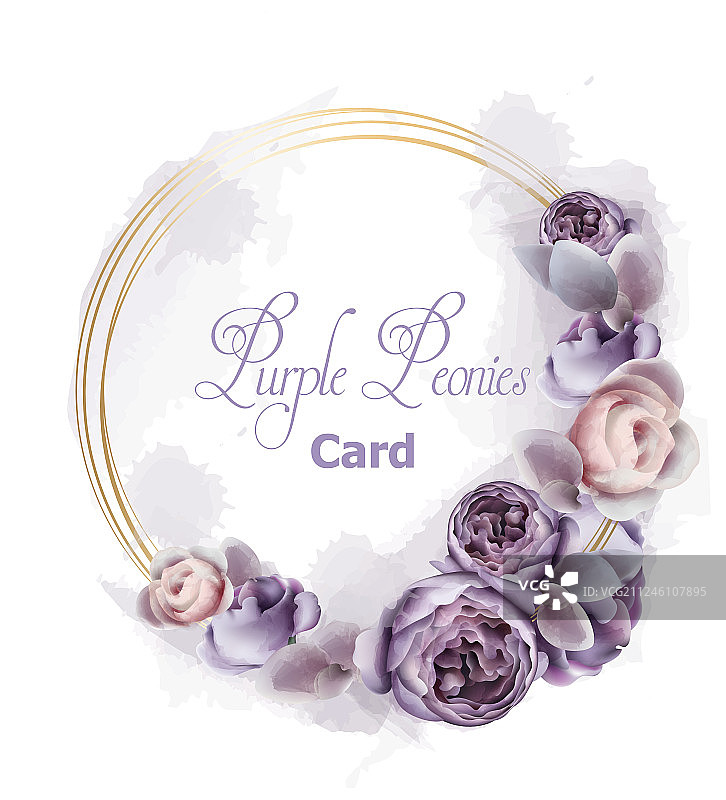紫牡丹花圈卡水彩图片素材