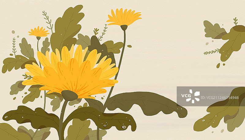 金黄色的菊花元素插画图片素材