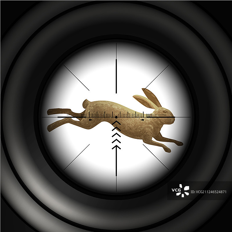 狩猎季节野兔野兔狙击手图片素材
