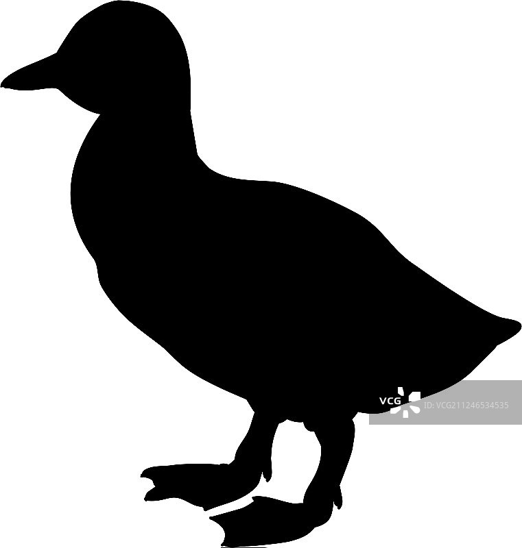 小鹅鸟黑色剪影动物图片素材