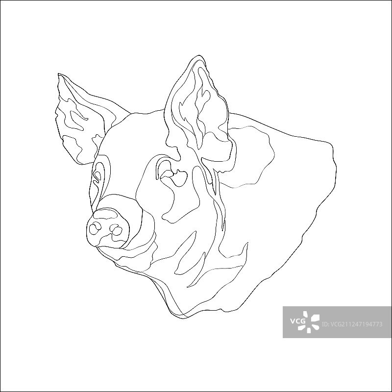 猪猪头线图片素材