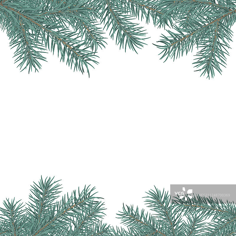 杉木枝边冬季假日装饰图片素材