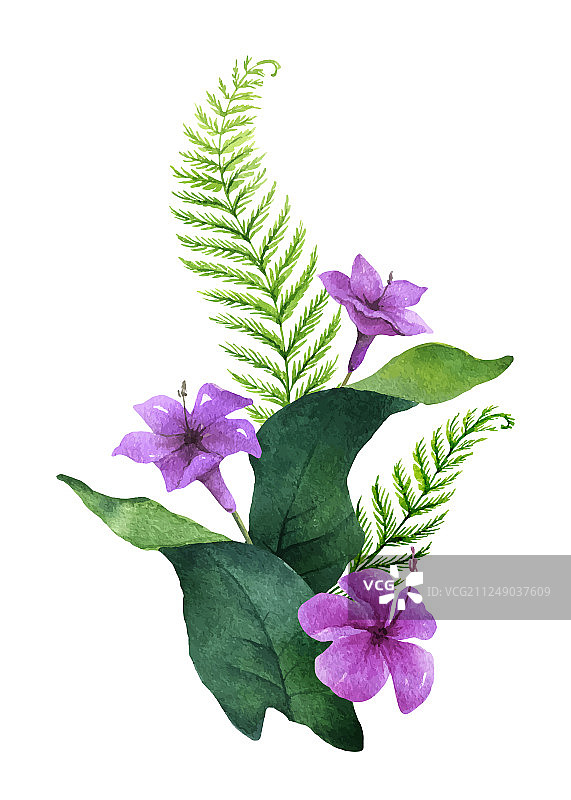 水彩花束热带树叶和图片素材