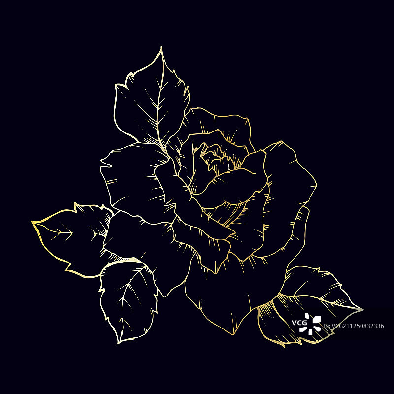 野花玫瑰在黄金矢量风格孤立。图片素材