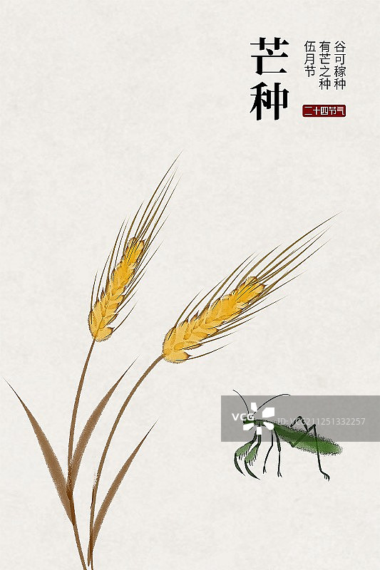 芒种二十四节气中国风插画图片素材