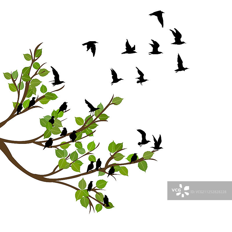 一群鸟儿在树枝上飞翔图片素材