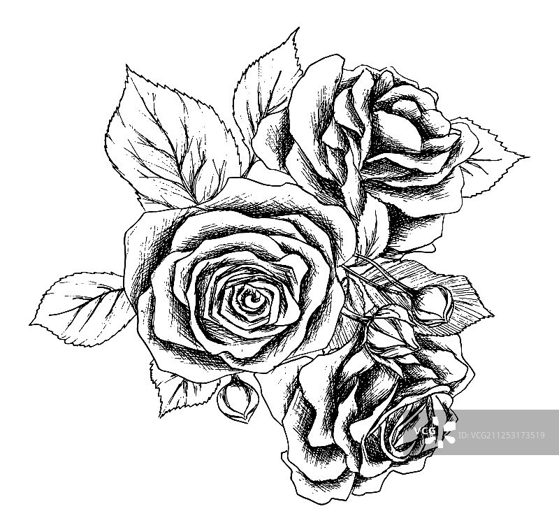 美丽的黑白花束玫瑰图片素材