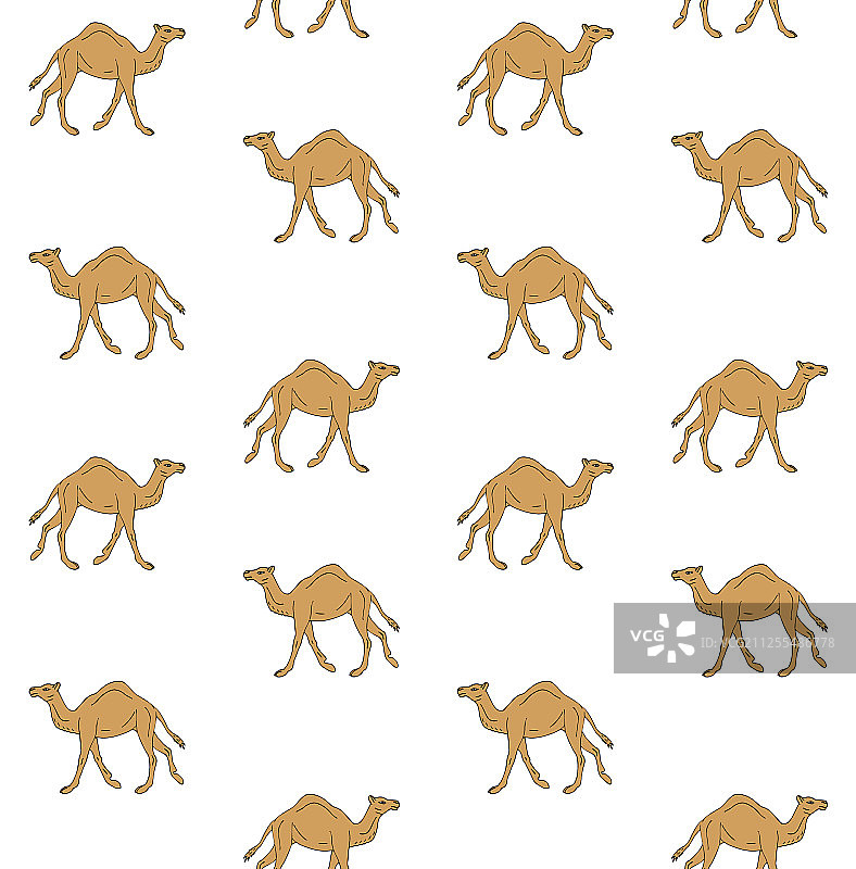 无缝图案手绘骆驼图片素材