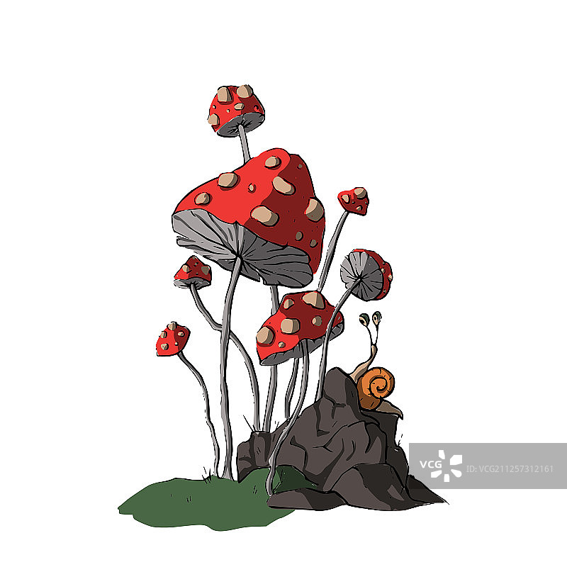 卡通真菌图片素材