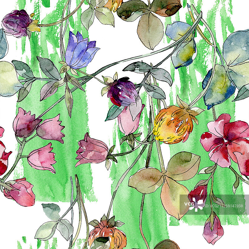 野花打印花卉植物的花。水彩背景插图集。无缝的背景图案。图片素材