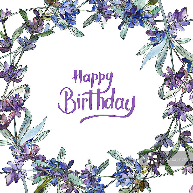 紫色的薰衣草植物花。水彩背景插图集。边框装饰方形。图片素材