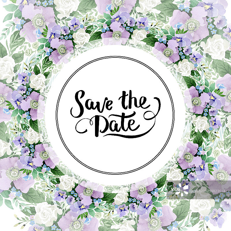 紫罗兰花束，植物的花。水彩背景插图集。边框装饰方形。图片素材