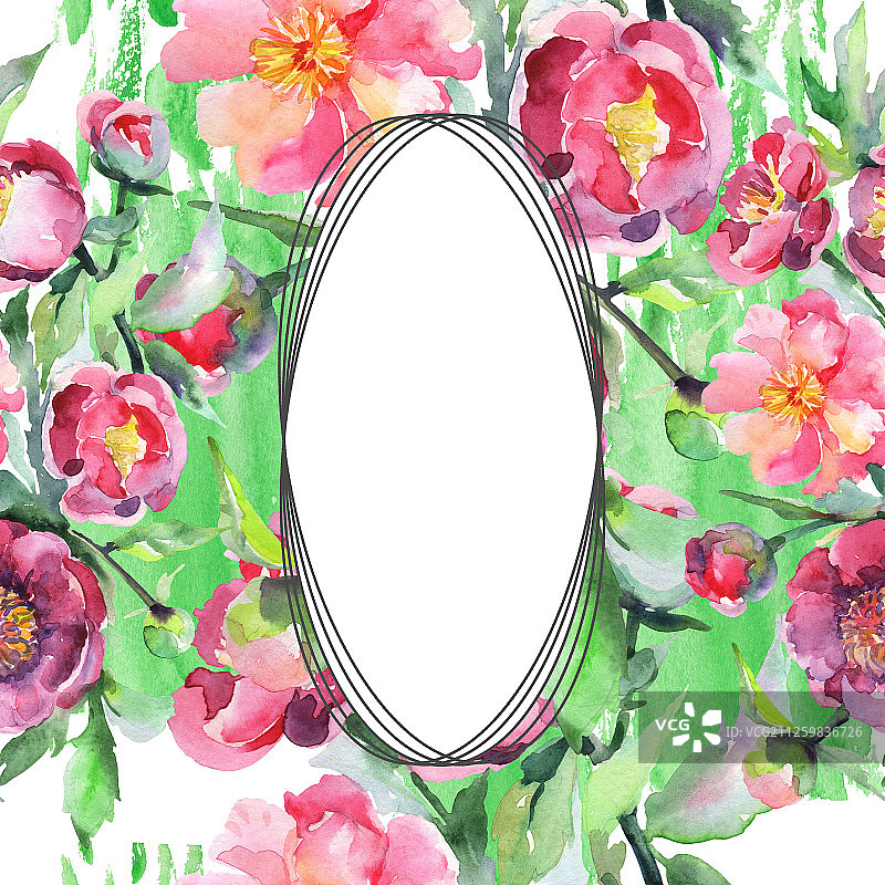 牡丹花束，花卉植物。水彩背景插图集。边框装饰方形。图片素材