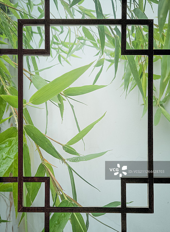 窗外的竹子图片素材