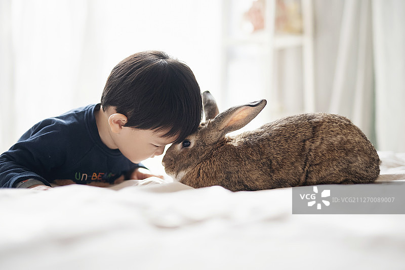 小孩和兔子图片素材