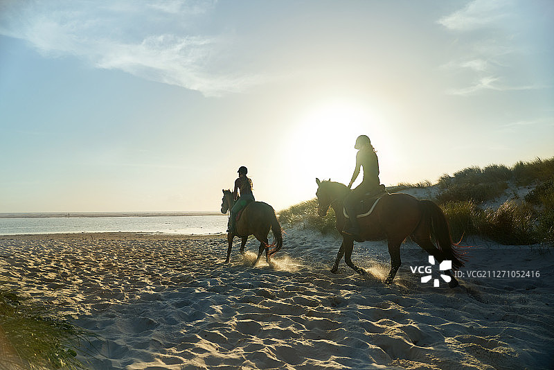 年轻女子骑马在阳光明媚的田园诗般的海滩图片素材