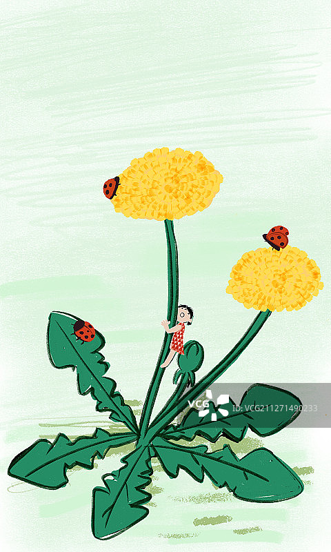 惊蛰节气小瓢虫蒲公英花朵和女孩插图图片素材