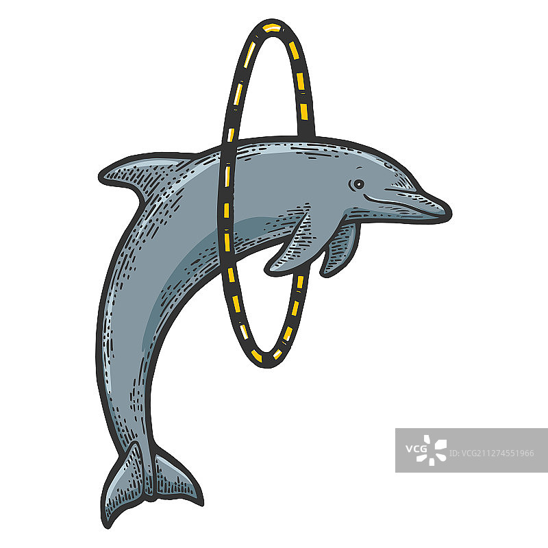 海豚跳过雕刻的戒指图片素材