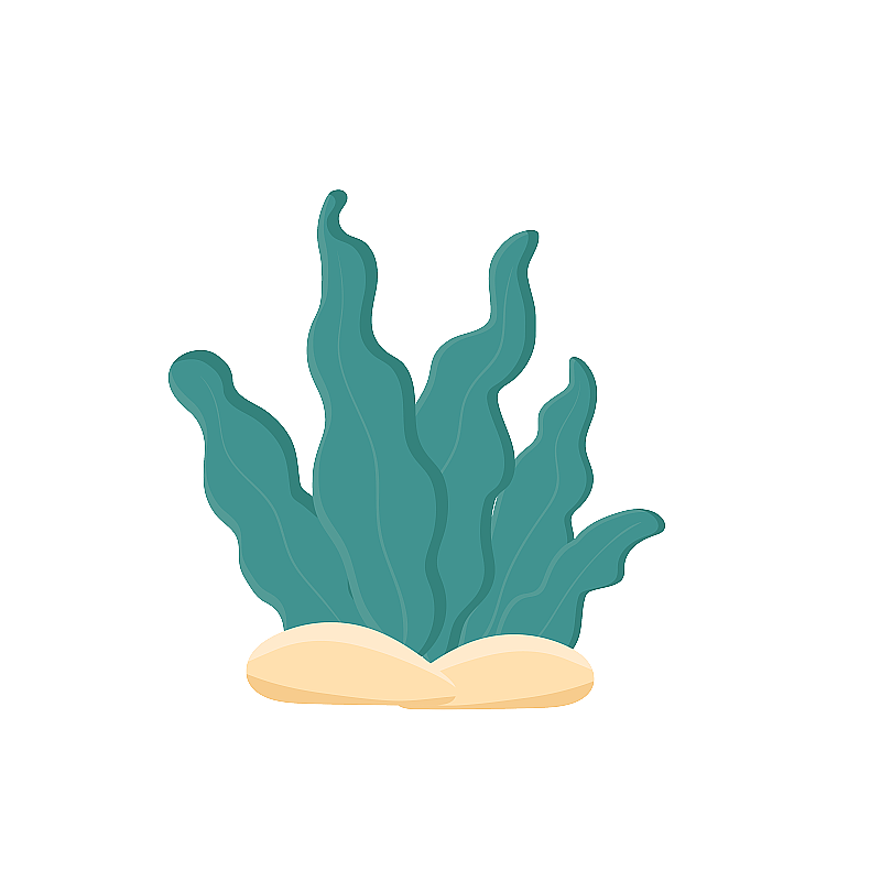 扁平绿色海底植物海草图片素材
