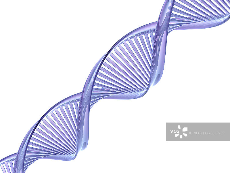 DNA模型 - 3D渲染图图片素材
