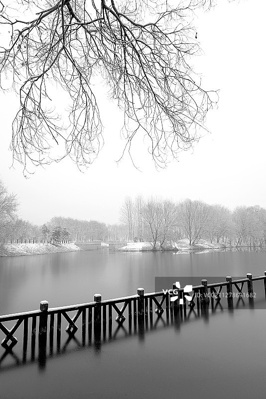 下雪后的湖边风景图片素材