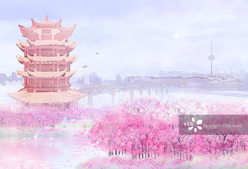 武汉市的黄鹤楼周围，樱花正盛开插画背景图片素材