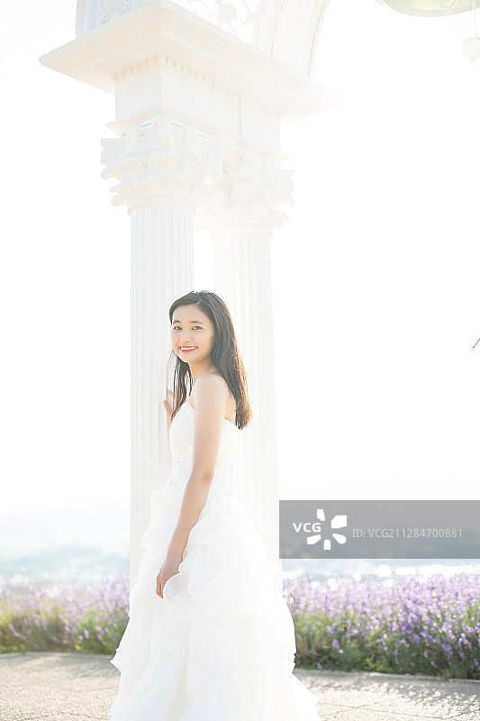 婚礼肖像北海道图片素材