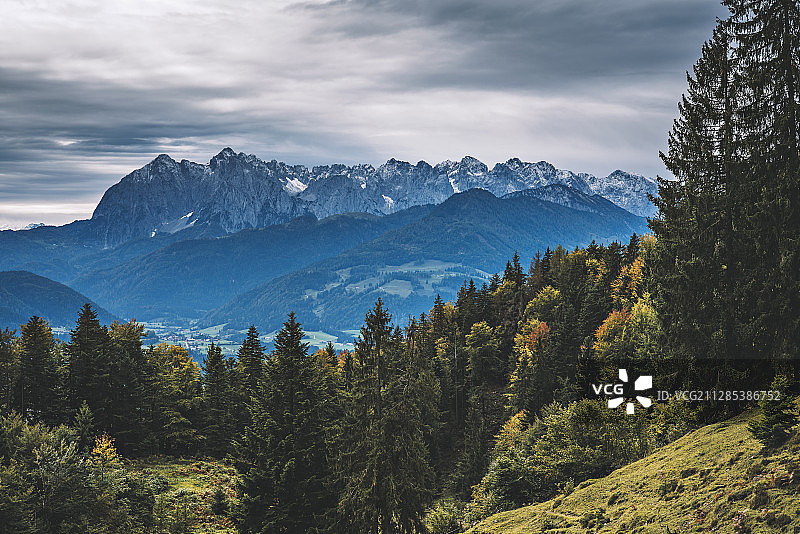 在奥地利Kssen, Kitzbuhel, Kossen, Tyrol的秋天里看到的更狂野的凯撒图片素材