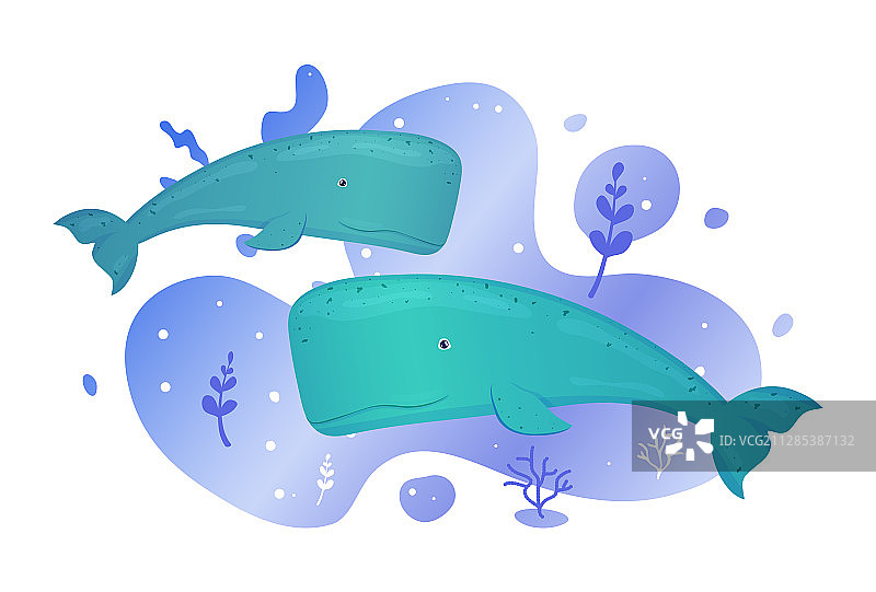 两只鲸鱼在海底捕鱼图片素材