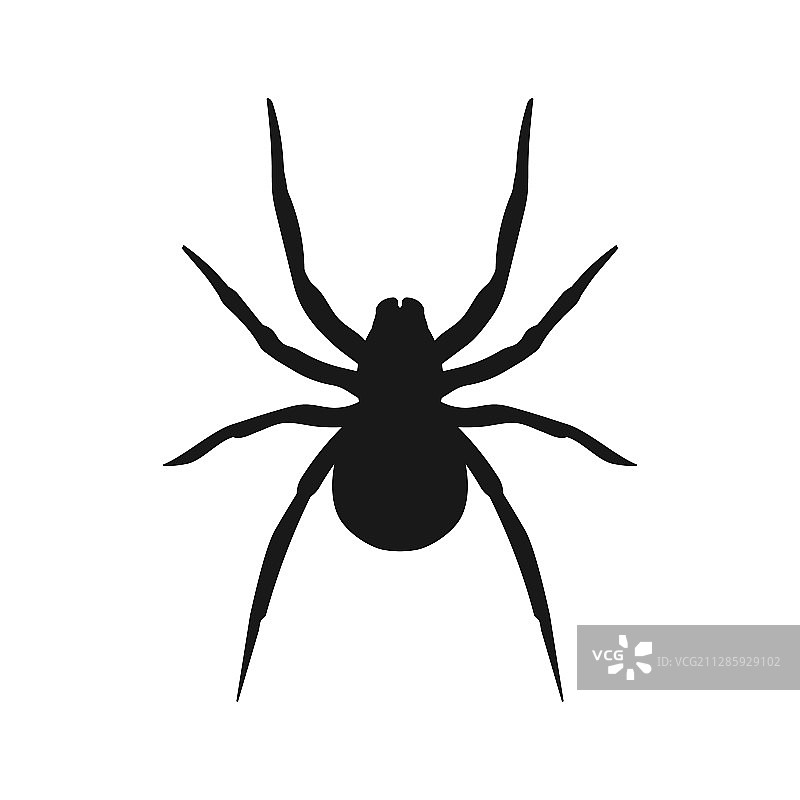 插图蜘蛛图标平面设计图片素材