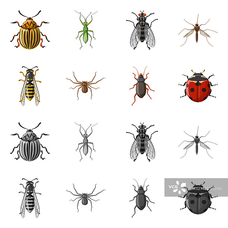 昆虫和苍蝇标志集图片素材